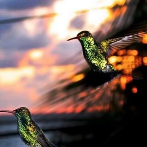 Meet your Posher, Eunice